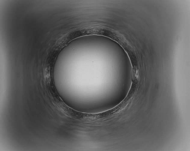X0000114190771200910161204