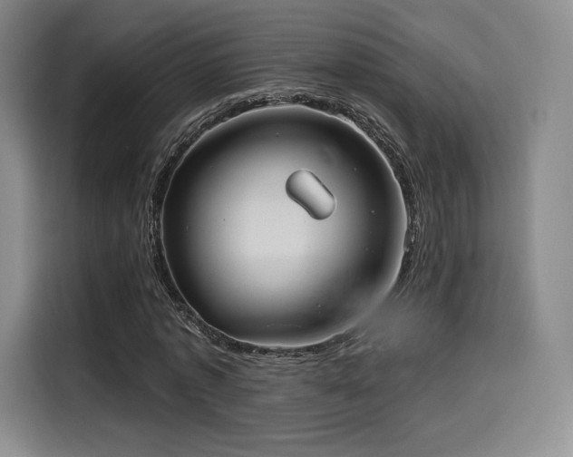 X0000114190773200910161204