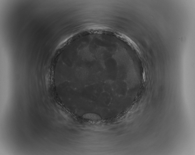 X0000114190775200910161204