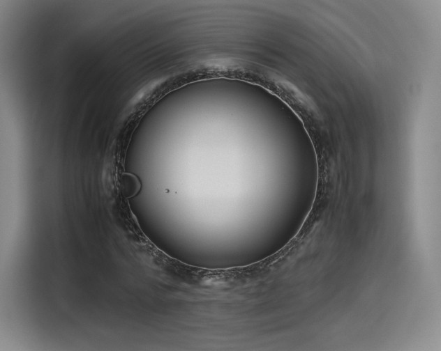 X0000114190776200910161204