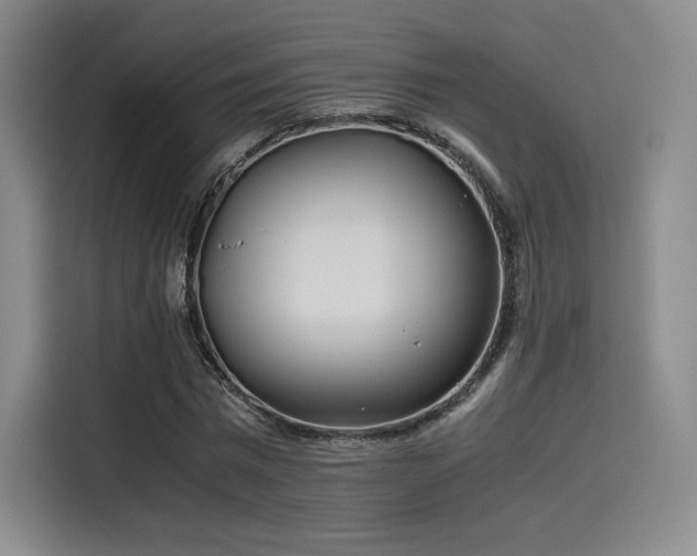 X0000114190777200910161204