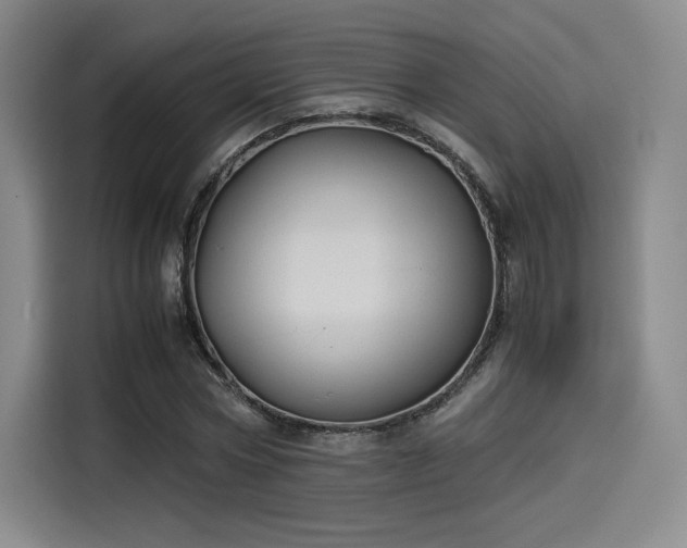 X0000114190778200910161204