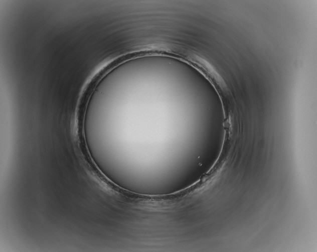 X0000114190780200910161204