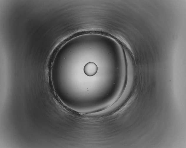 X0000114190781200910161204