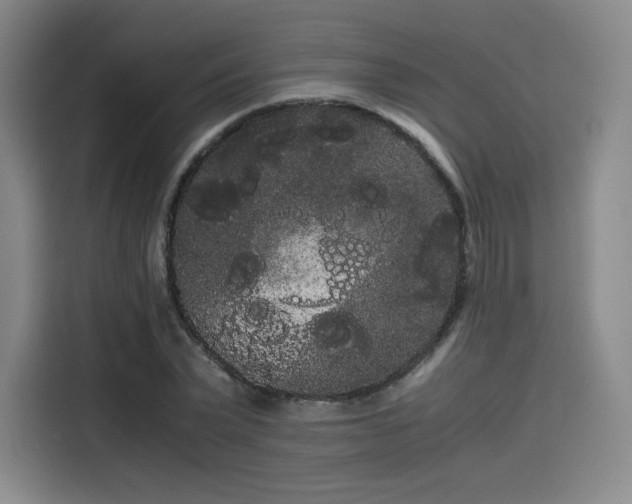 X0000114190783200910161204