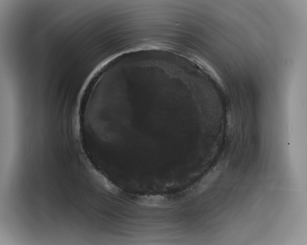 X0000114190784200910161204