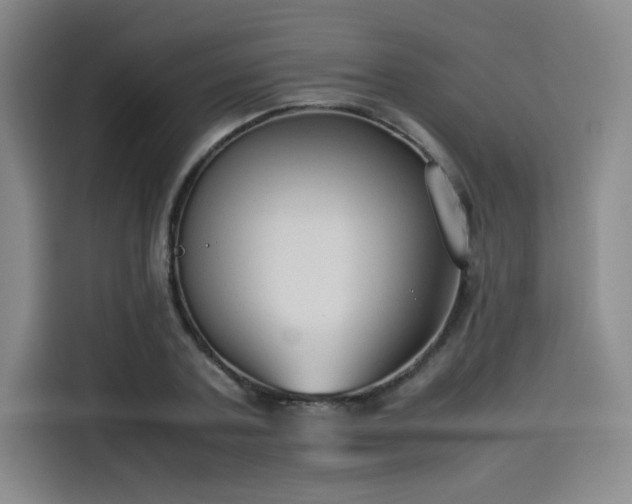 X0000114190787200910161204