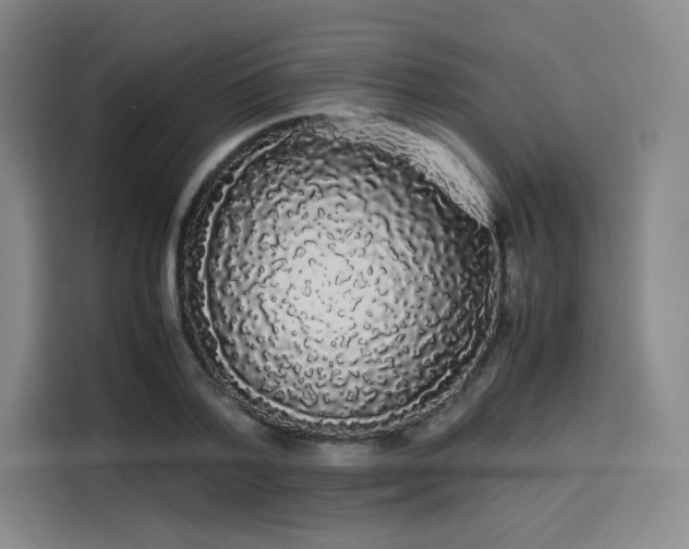 X0000114190788200910161204