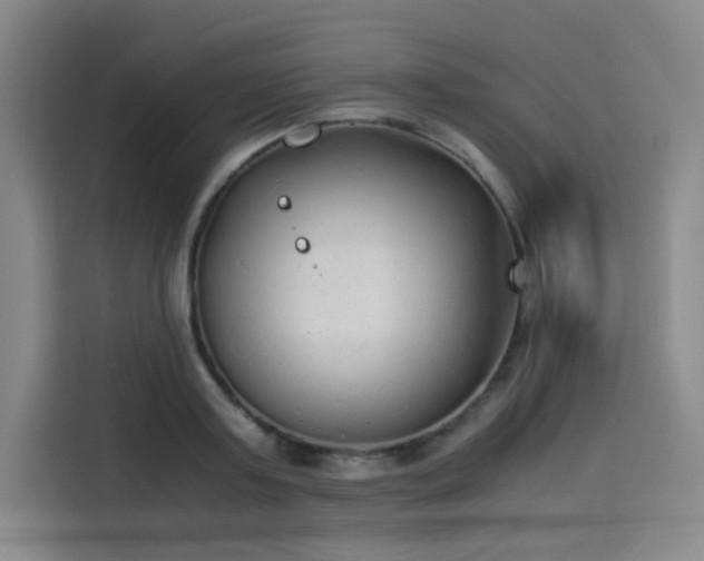X0000114190795200910161204