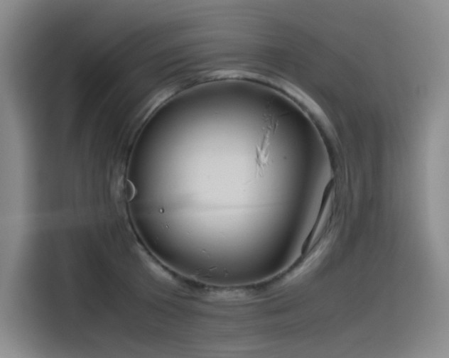 X0000114190801200910161204