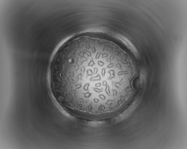 X0000114190804200910161203