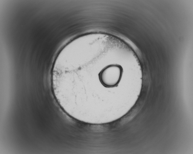 X0000114190807200910161203