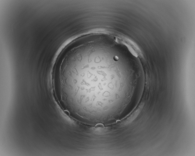 X0000114190808200910161203