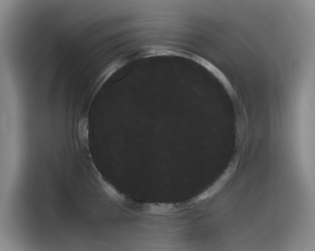 X0000114190809200910161203