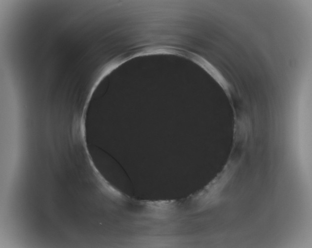 X0000114190813200910161203