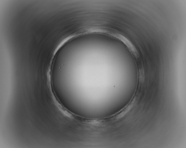 X0000114190814200910161203