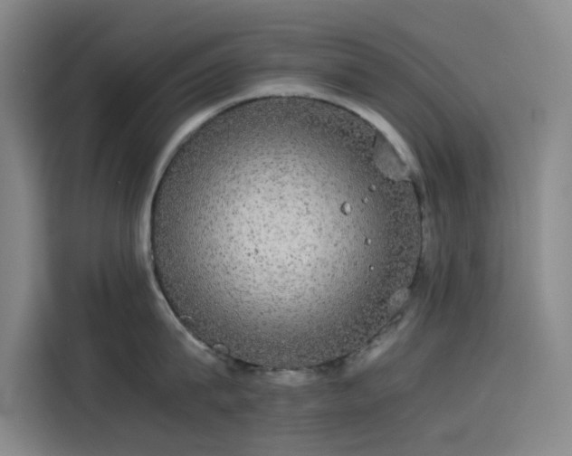 X0000114190815200910161203