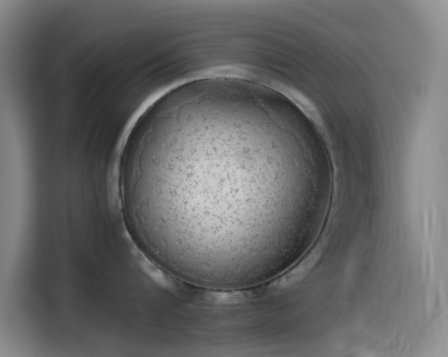 X0000114190816200910161203