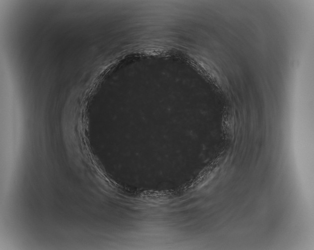 X0000114190817200910161203