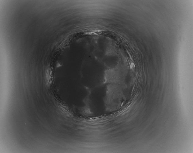 X0000114190818200910161203