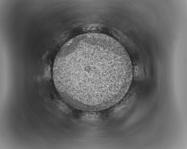 X0000114190820200910161203