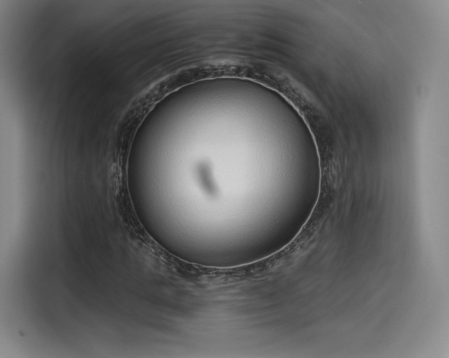 X0000114190821200910161203