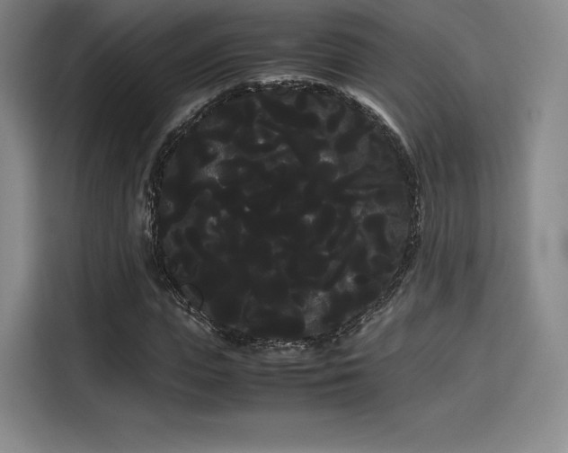 X0000114190823200910161203
