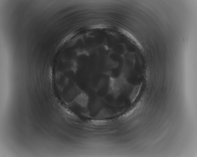 X0000114190825200910161203