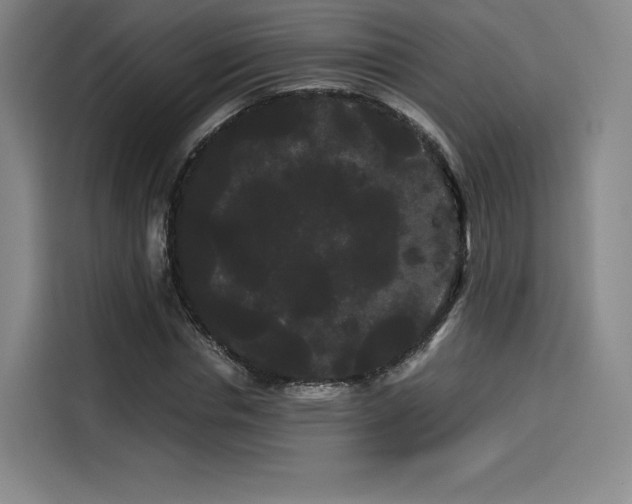 X0000114190826200910161203