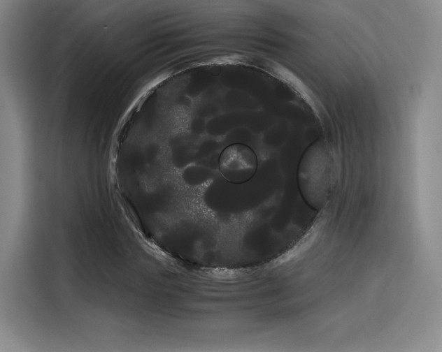 X0000114190827200910161203