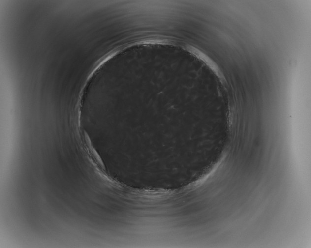 X0000114190829200910161203