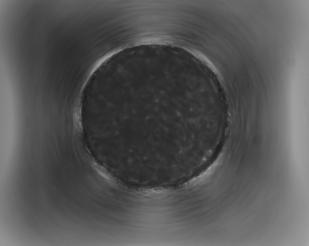 X0000114190830200910161203