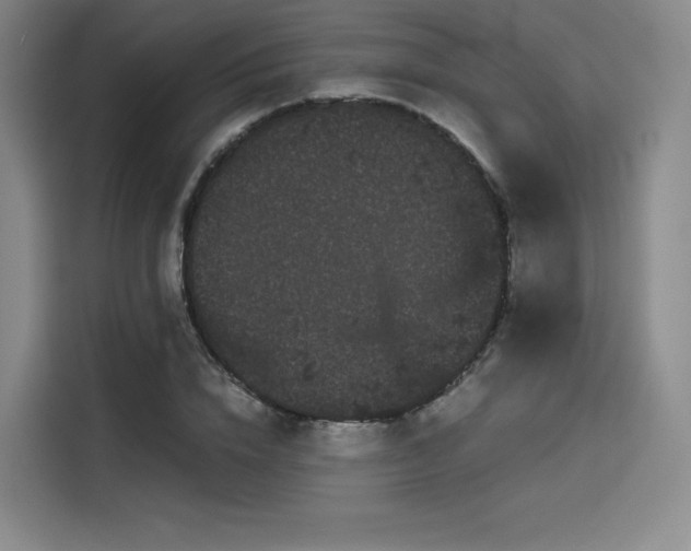 X0000114190832200910161203