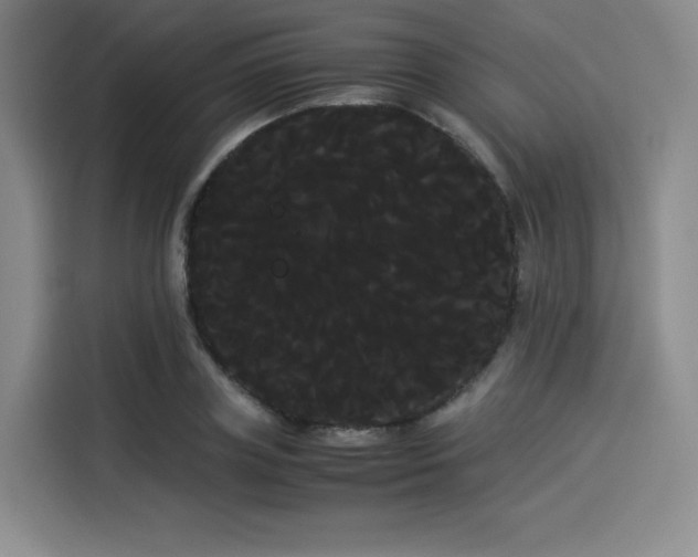 X0000114190835200910161203
