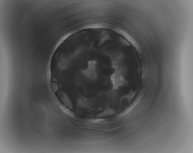 X0000114190837200910161203