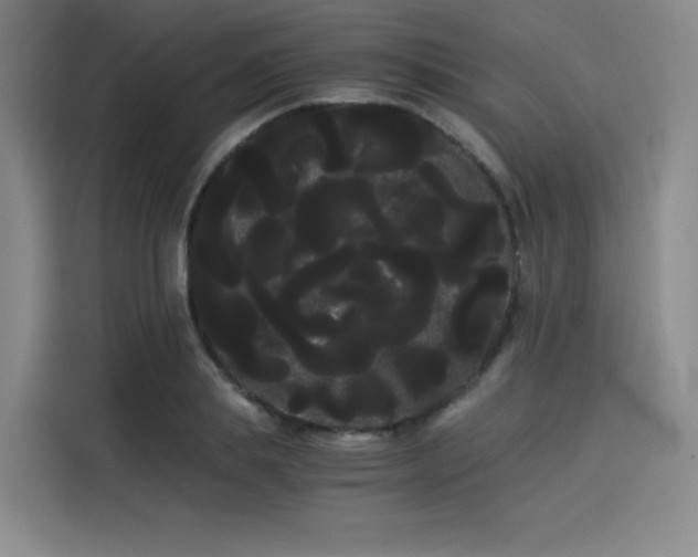 X0000114190839200910161203