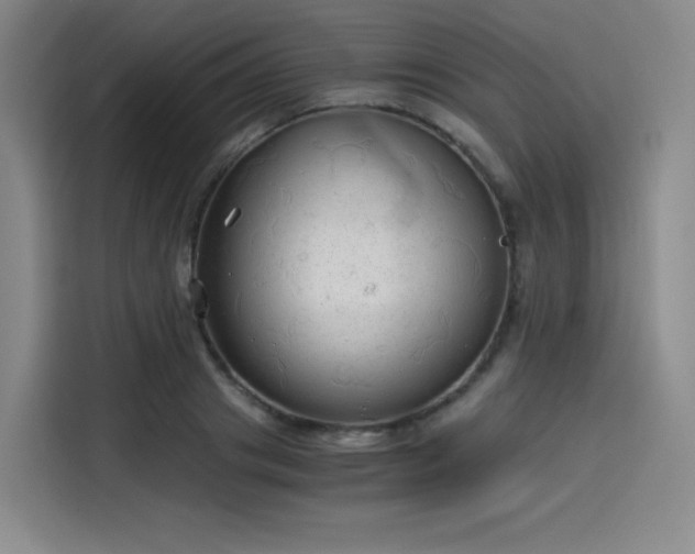 X0000114190841200910161203