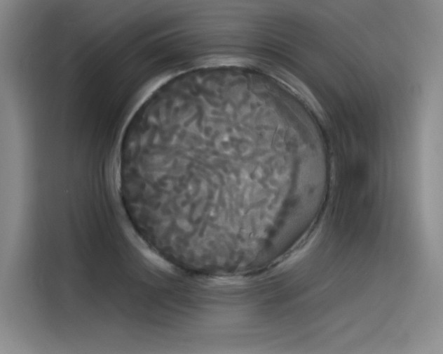 X0000114190844200910161203