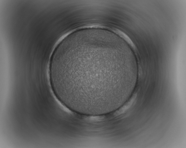 X0000114190847200910161203