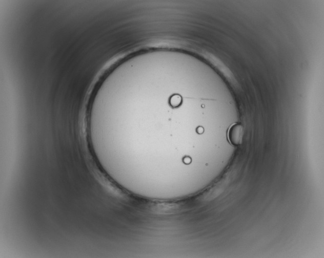 X0000114190848200910161203