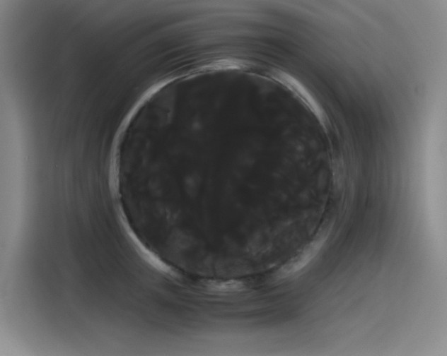 X0000114190851200910161203