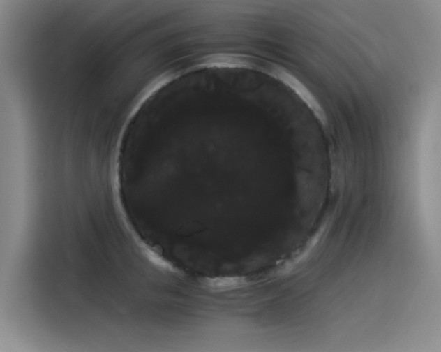 X0000114190853200910161203