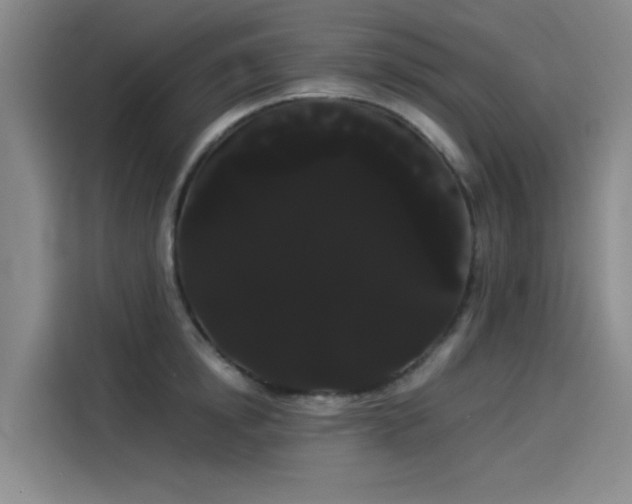 X0000114190854200910161203