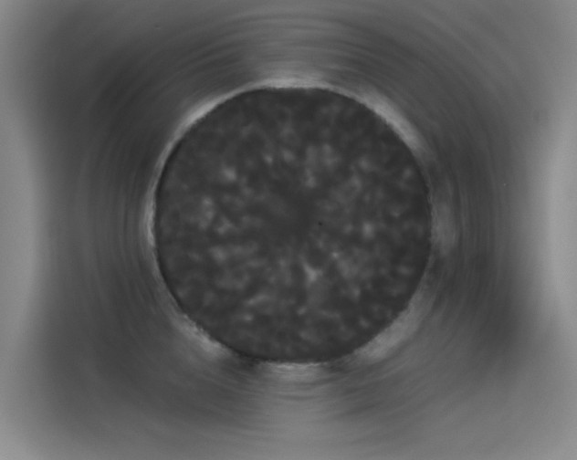 X0000114190856200910161203