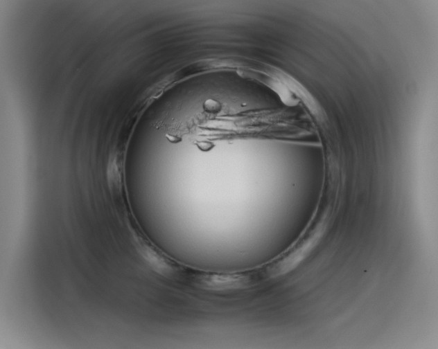 X0000114190857200910161203