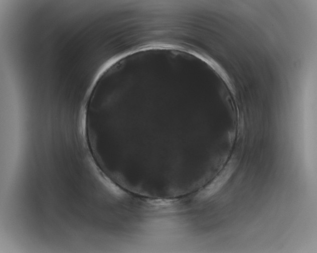 X0000114190862200910161203