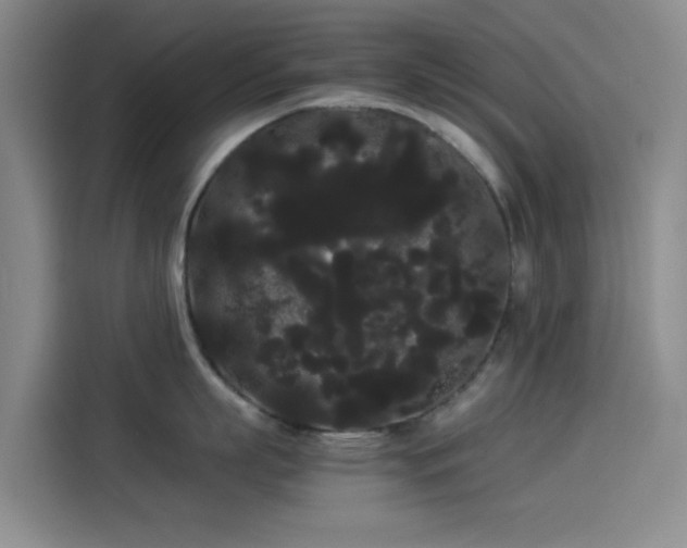 X0000114190863200910161203