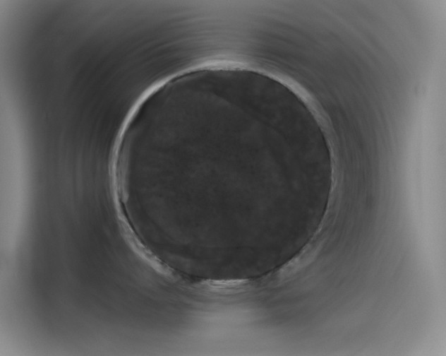 X0000114190864200910161203