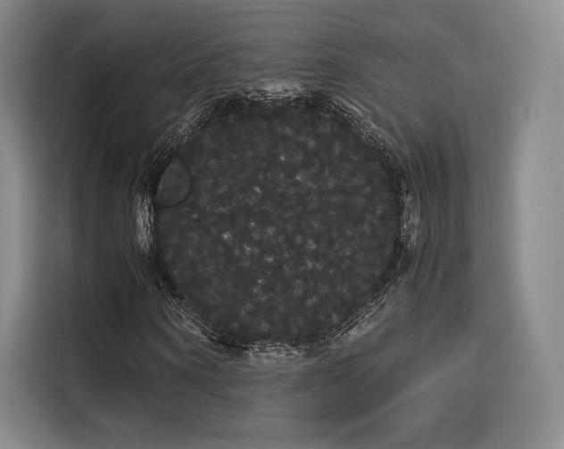 X0000114190866200910161203