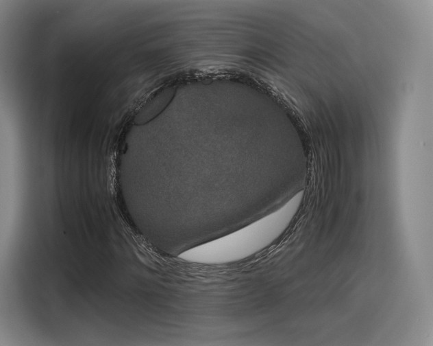 X0000114190868200910161203